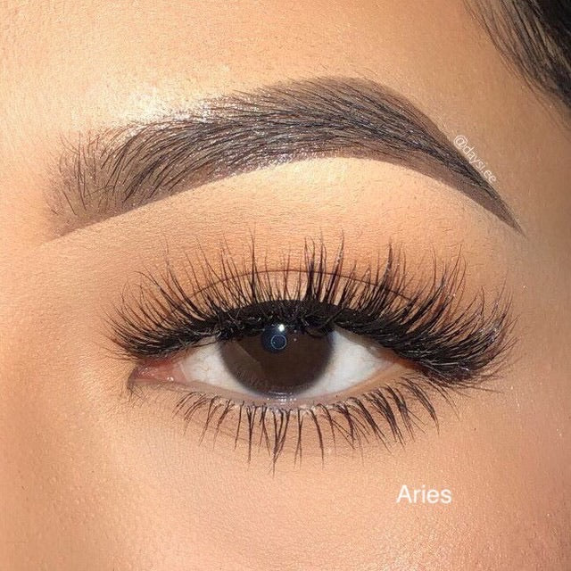 Aries Lash