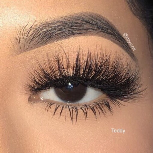 Teddy Lash